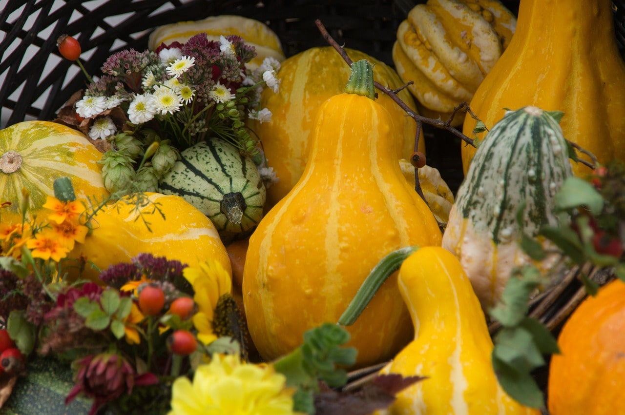 Pumpkins, gourds, and other fall decorations